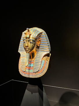MYSTERY OF TUTANKHAMEN 体感型古代エジプト展に投稿された画像（2025/10/24）