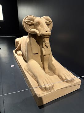 MYSTERY OF TUTANKHAMEN 体感型古代エジプト展に投稿された画像（2025/10/24）