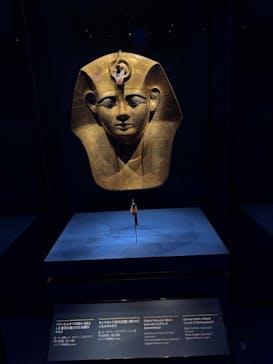 ACN ラムセス大王展 ファラオたちの黄金に投稿された画像（2025/10/24）