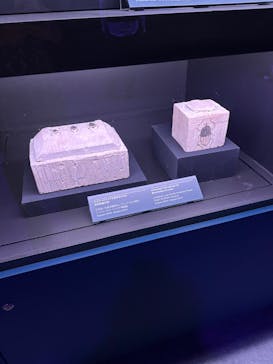 ACN ラムセス大王展 ファラオたちの黄金に投稿された画像（2025/10/24）