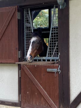 ノーザンホースパークに投稿された画像（2025/10/24）