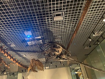 国立科学博物館に投稿された画像（2025/10/24）