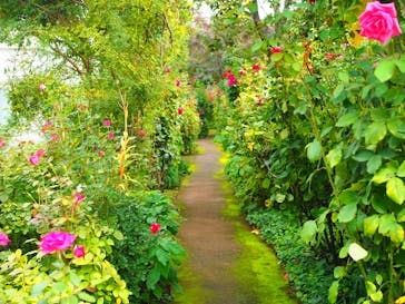 横浜イングリッシュガーデンに投稿された画像（2025/10/24）