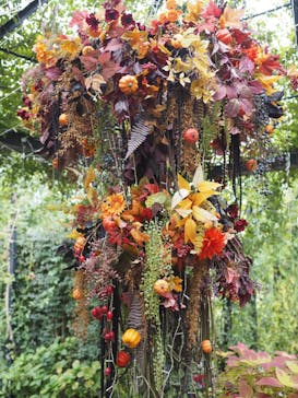 横浜イングリッシュガーデンに投稿された画像（2025/10/24）