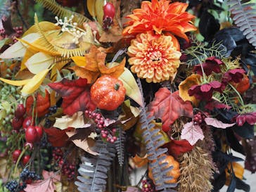 横浜イングリッシュガーデンに投稿された画像（2025/10/24）