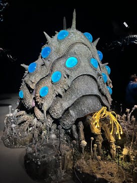 金曜ロードショーとジブリ展（静岡展）に投稿された画像（2025/10/24）