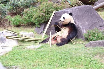 恩賜上野動物園に投稿された画像（2025/10/24）