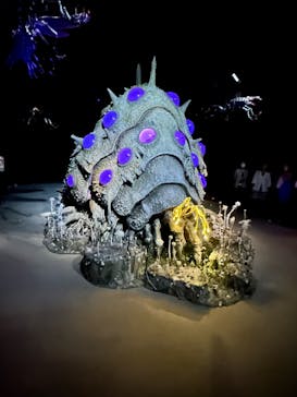 金曜ロードショーとジブリ展（静岡展）に投稿された画像（2025/10/24）