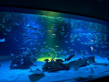 サンシャイン水族館に投稿された画像（2025/10/24）