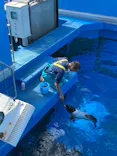 仙台うみの杜水族館に投稿された画像（2025/10/24）