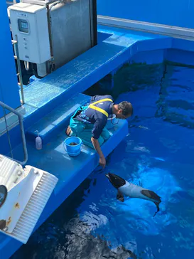 仙台うみの杜水族館に投稿された画像（2025/10/24）