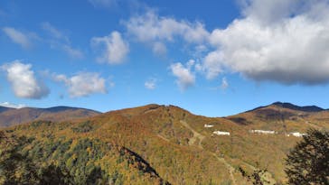 志賀高原ゴールデンラインに投稿された画像（2025/10/24）