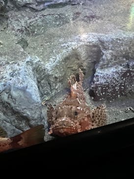 竹島水族館に投稿された画像（2025/10/24）