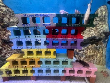 竹島水族館に投稿された画像（2025/10/24）