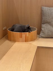 Cat Café MOFF 名古屋PARCO店に投稿された画像（2025/10/24）
