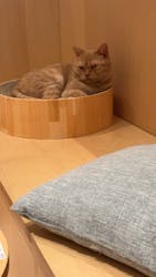Cat Café MOFF 名古屋PARCO店に投稿された画像（2025/10/24）