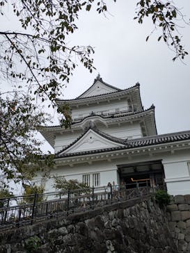 小田原城に投稿された画像（2025/10/24）