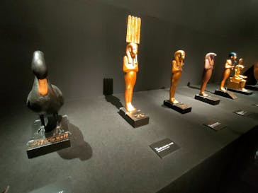 MYSTERY OF TUTANKHAMEN 体感型古代エジプト展に投稿された画像（2025/10/24）