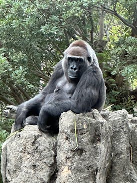 恩賜上野動物園に投稿された画像（2025/10/24）