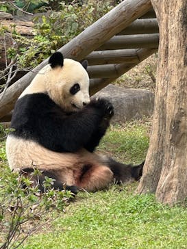 恩賜上野動物園に投稿された画像（2025/10/24）
