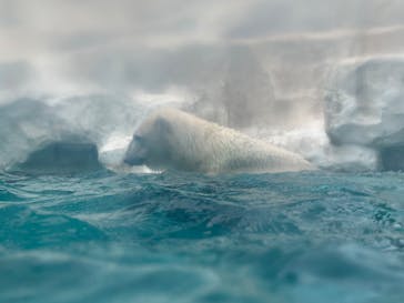 恩賜上野動物園に投稿された画像（2025/10/24）