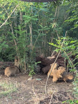 竹島水族館に投稿された画像（2025/10/24）