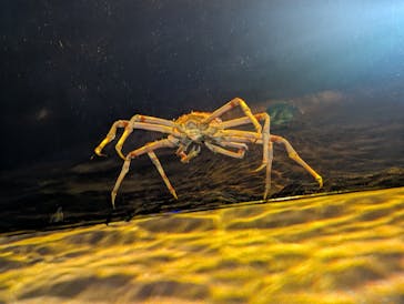 竹島水族館に投稿された画像（2025/10/24）