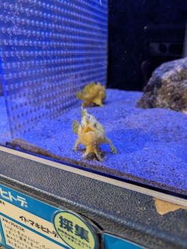 竹島水族館に投稿された画像（2025/10/24）