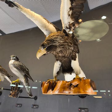 滋賀県立琵琶湖博物館に投稿された画像（2025/10/24）