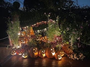 横浜イングリッシュガーデンに投稿された画像（2025/10/24）