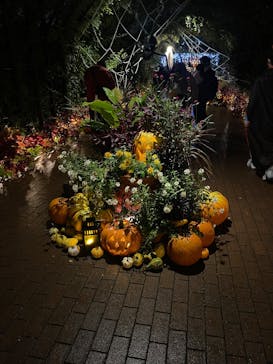 横浜イングリッシュガーデンに投稿された画像（2025/10/24）