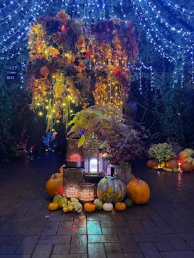 横浜イングリッシュガーデンに投稿された画像（2025/10/24）