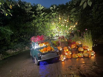 横浜イングリッシュガーデンに投稿された画像（2025/10/24）