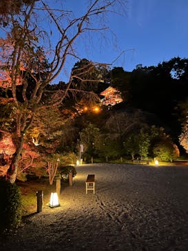 NAKED夜さんぽ™ 石川・那谷寺に投稿された画像（2025/10/24）