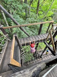 軽井沢おもちゃ王国に投稿された画像（2025/10/24）