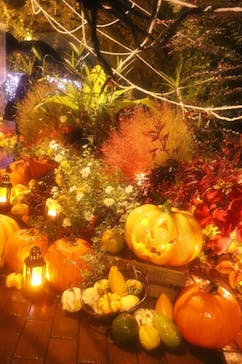 横浜イングリッシュガーデンに投稿された画像（2025/10/24）