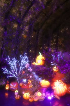 横浜イングリッシュガーデンに投稿された画像（2025/10/24）