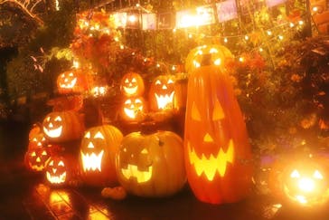 横浜イングリッシュガーデンに投稿された画像（2025/10/24）