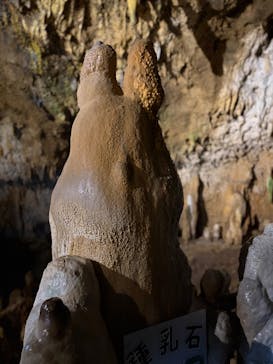 石垣島鍾乳洞に投稿された画像（2025/10/24）