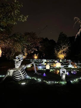 横浜イングリッシュガーデンに投稿された画像（2025/10/24）