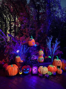 横浜イングリッシュガーデンに投稿された画像（2025/10/24）