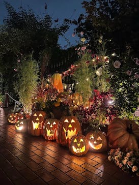 横浜イングリッシュガーデンに投稿された画像（2025/10/24）