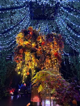 横浜イングリッシュガーデンに投稿された画像（2025/10/24）