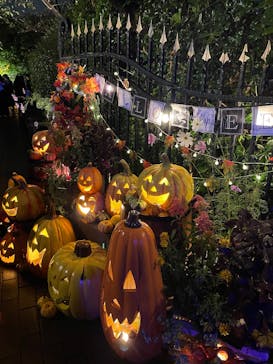 横浜イングリッシュガーデンに投稿された画像（2025/10/24）