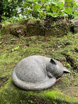 仙巌園に投稿された画像（2025/10/24）