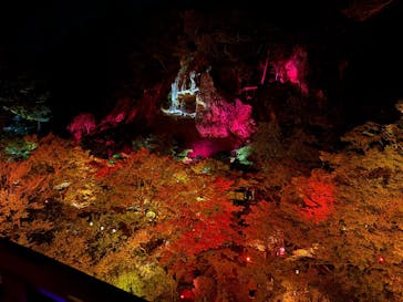 NAKED夜さんぽ™ 石川・那谷寺に投稿された画像（2025/10/24）