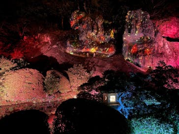 NAKED夜さんぽ™ 石川・那谷寺に投稿された画像（2025/10/24）