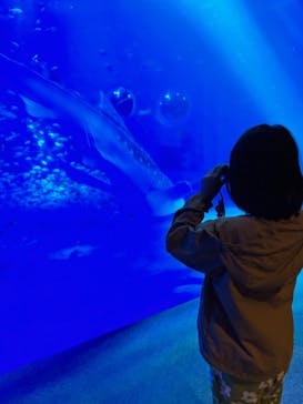 のとじま水族館に投稿された画像（2025/10/24）