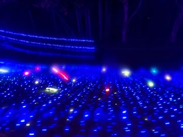 修善寺虹の郷に投稿された画像（2025/10/24）