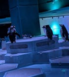 AOAO SAPPOROに投稿された画像（2025/10/24）